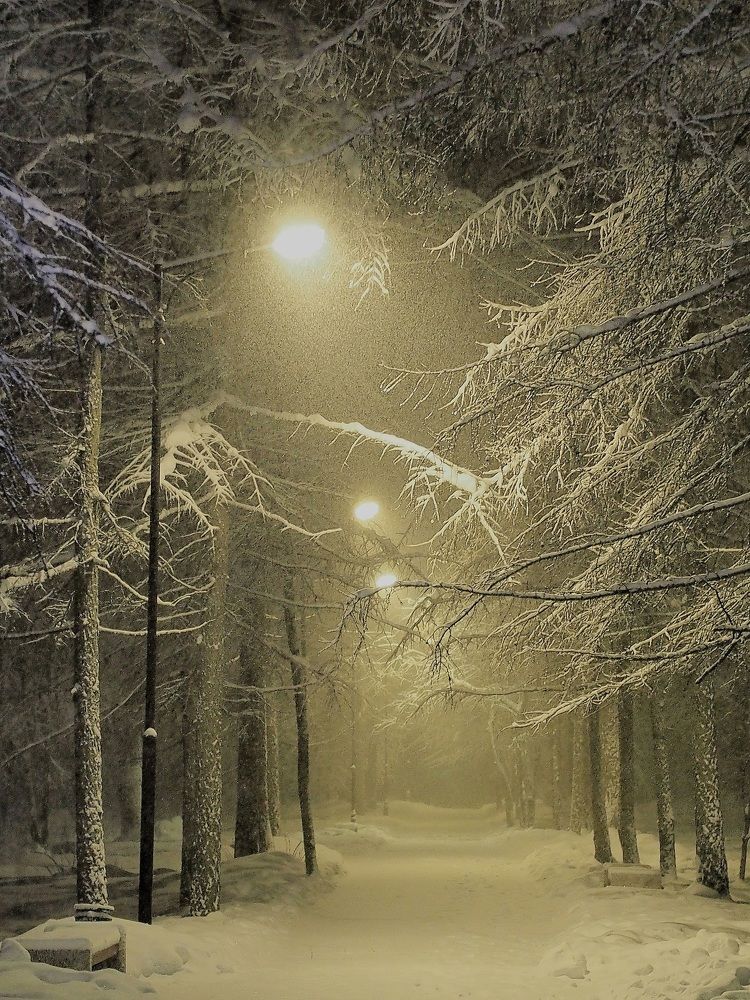 Раннее утро......