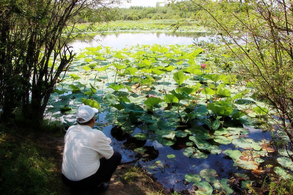 Лесная нежность