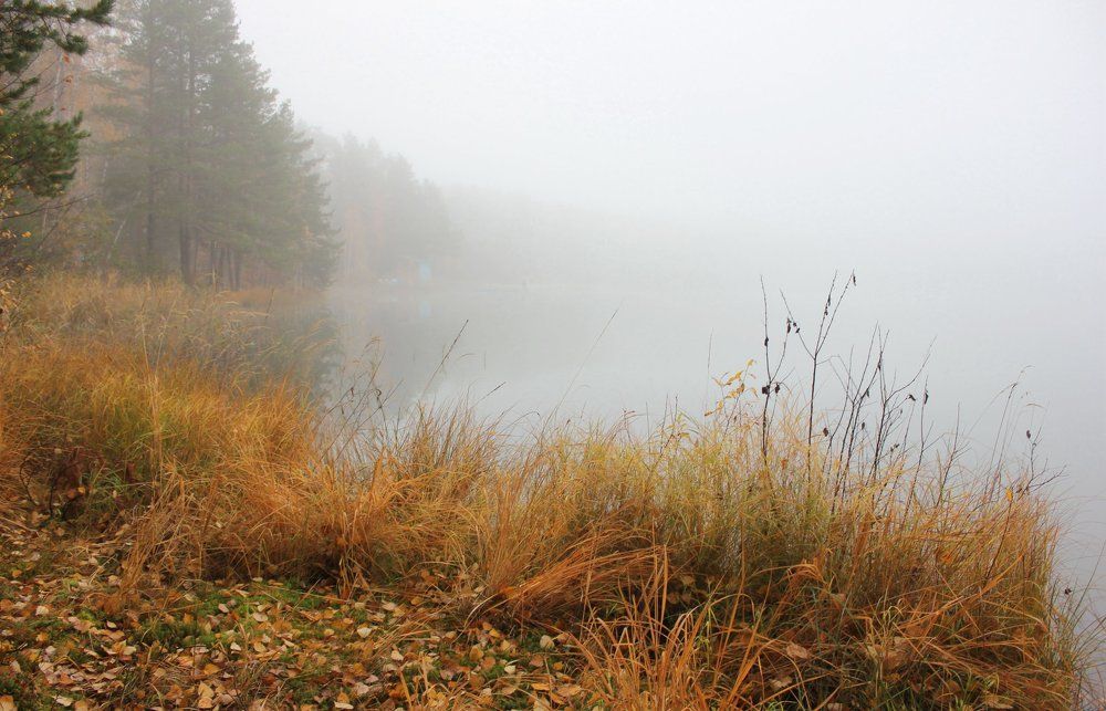 Осенний туман