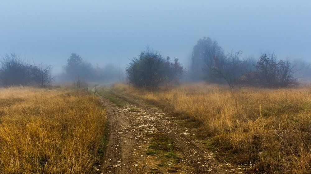 Autumn walk in the mist