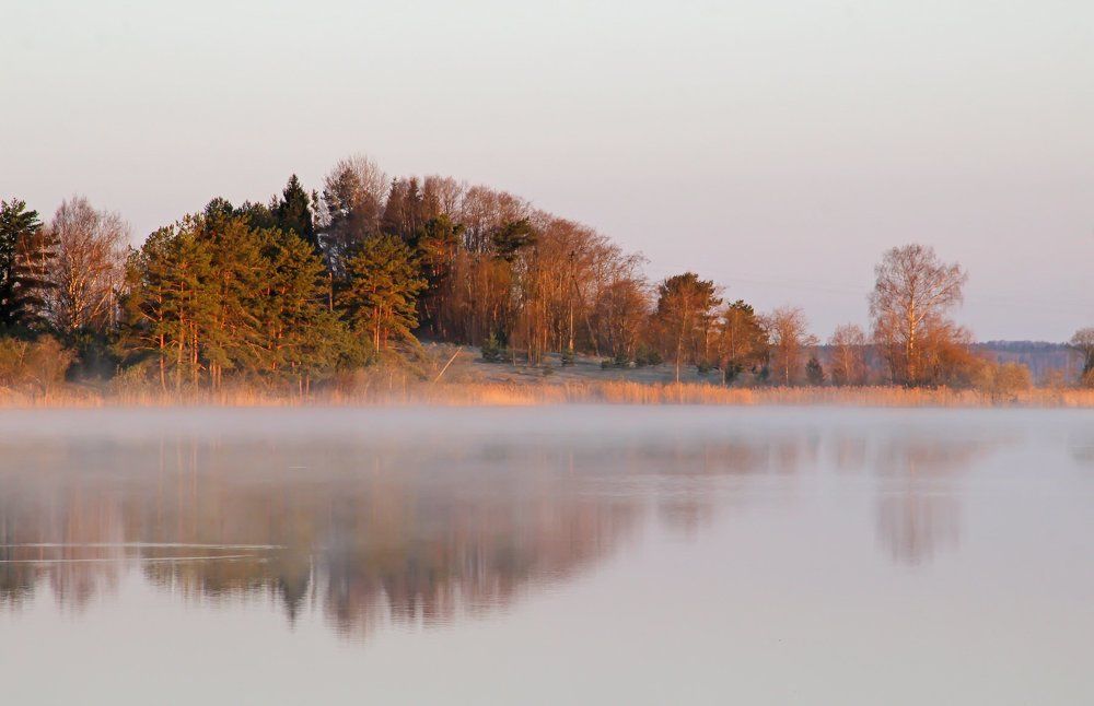 Тихое утро.