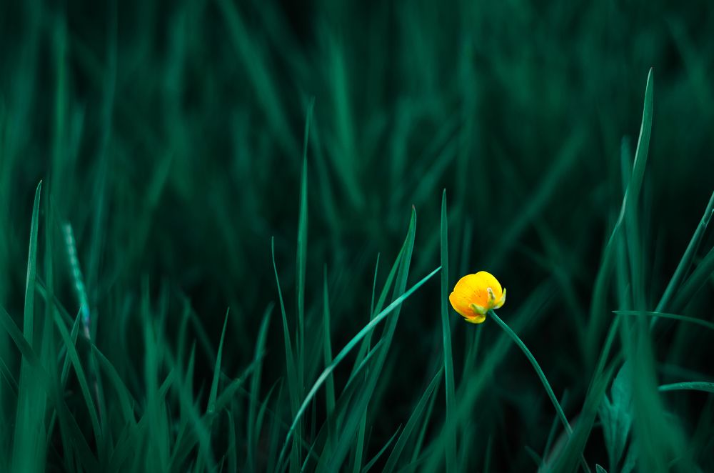 Photograph by Анатолий Мироненко