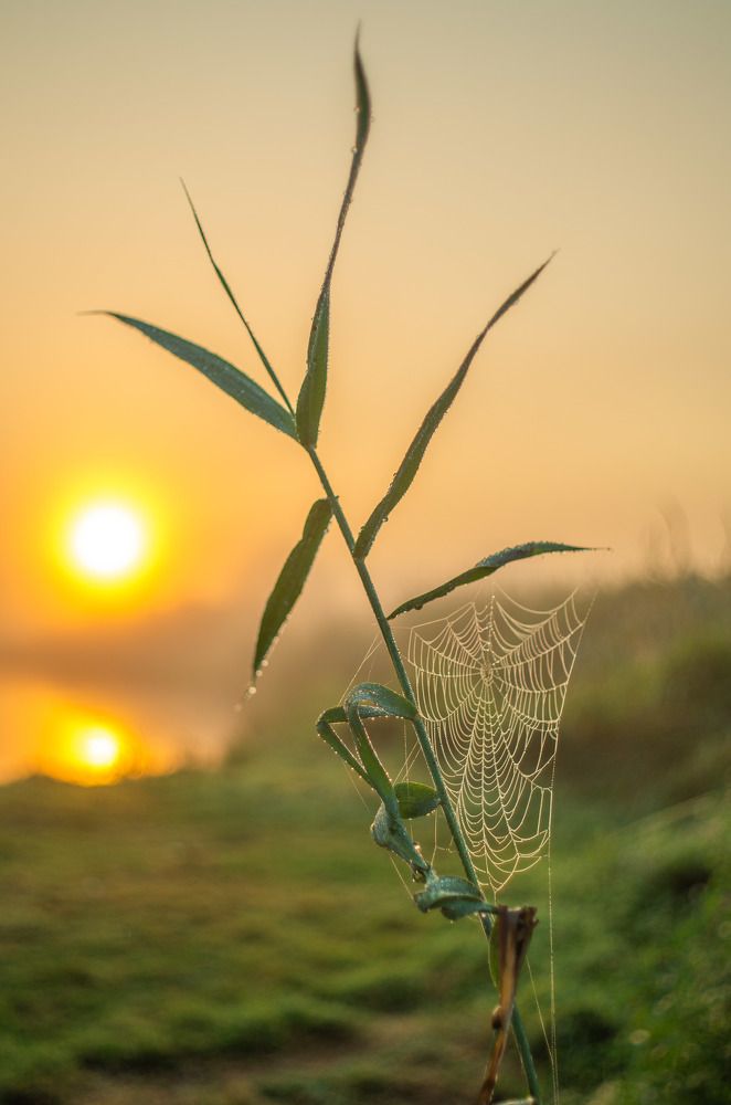 Photograph by Евгений Новицкий