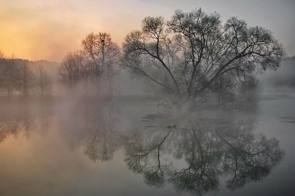 ...окрестности Баскервиль-Холла...