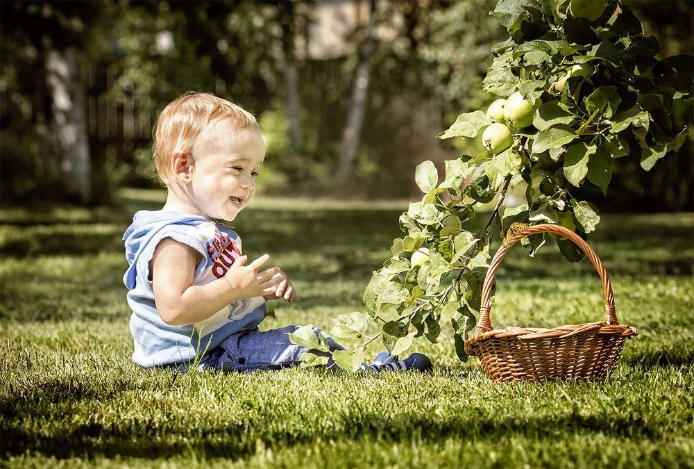 Бабочка и малыш