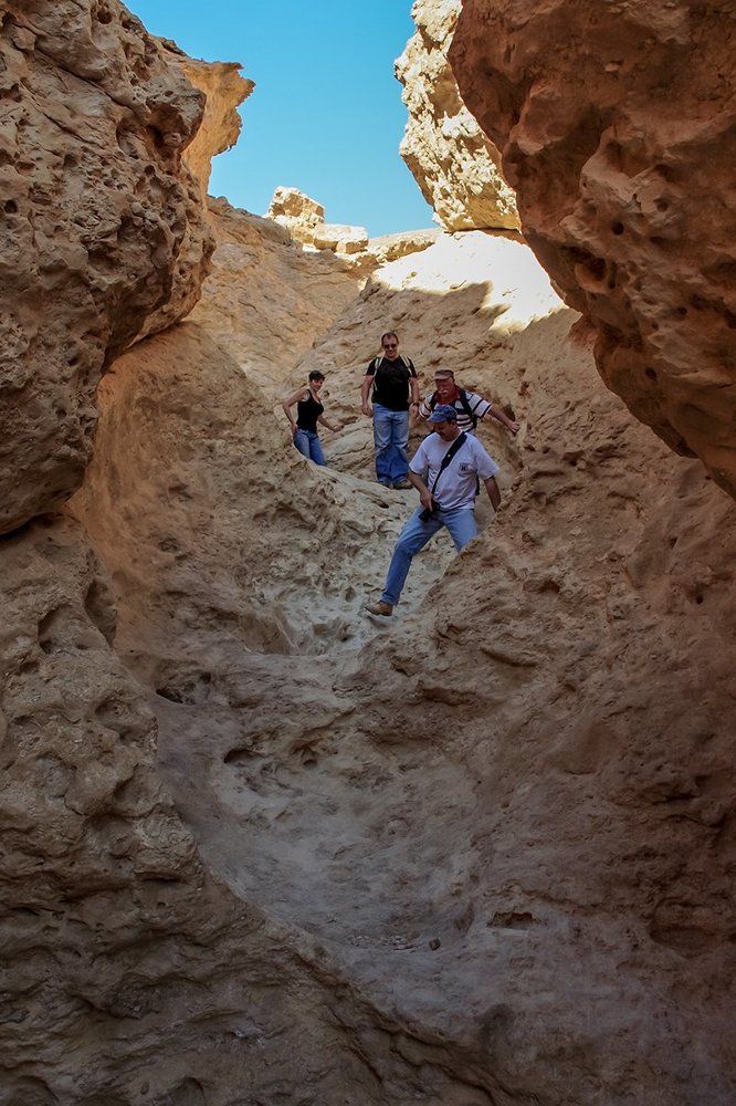 путешественники