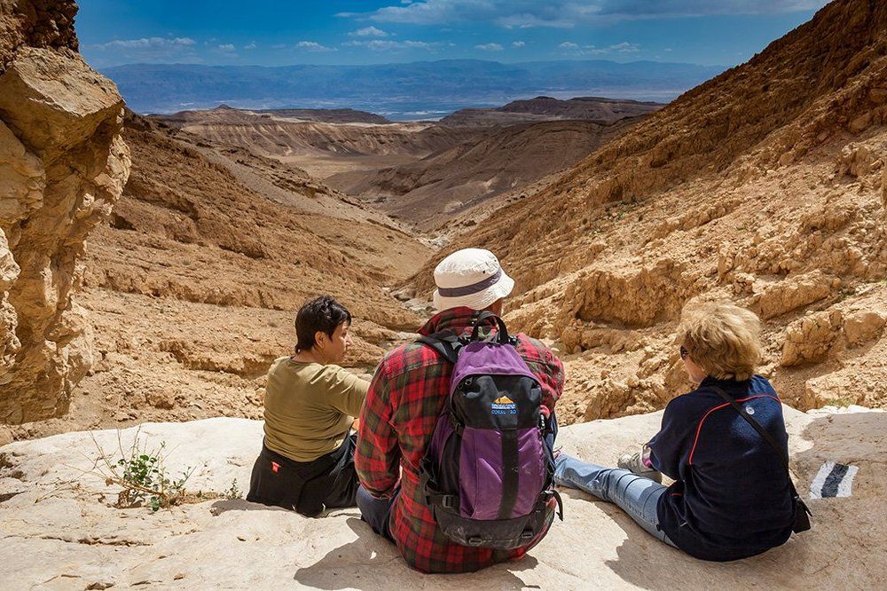 путешественники