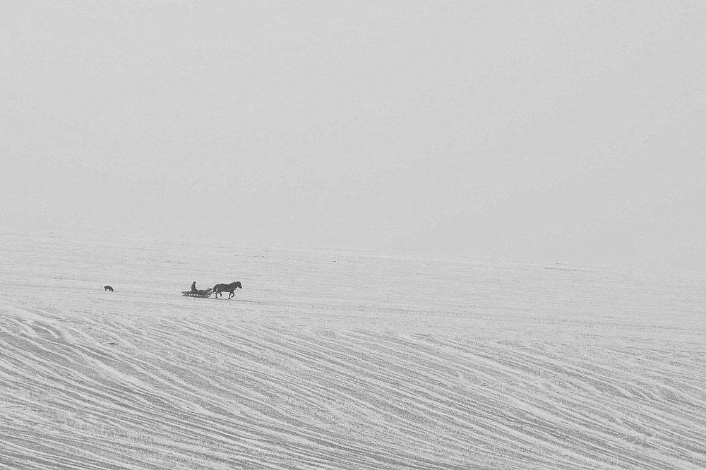 Photograph by Степанов Евгений