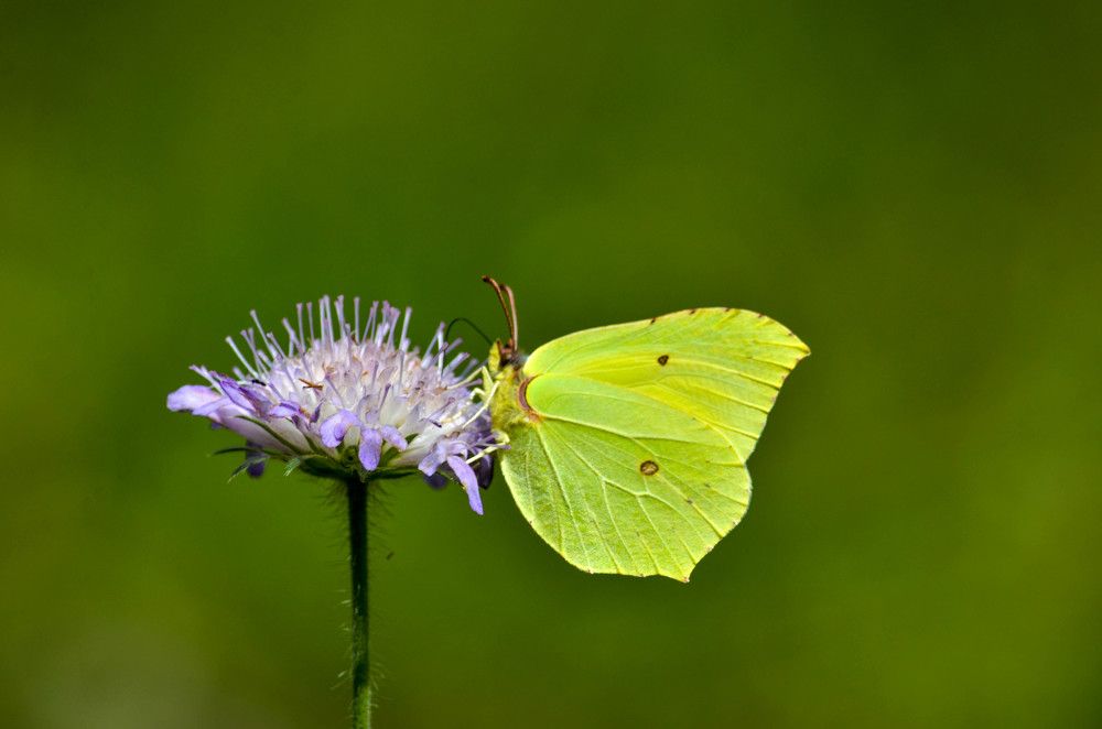 Photograph by игорь герасимовский