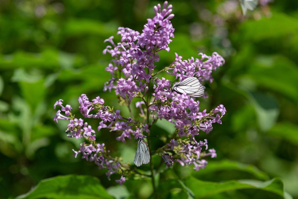 Photograph by Александр Егоров