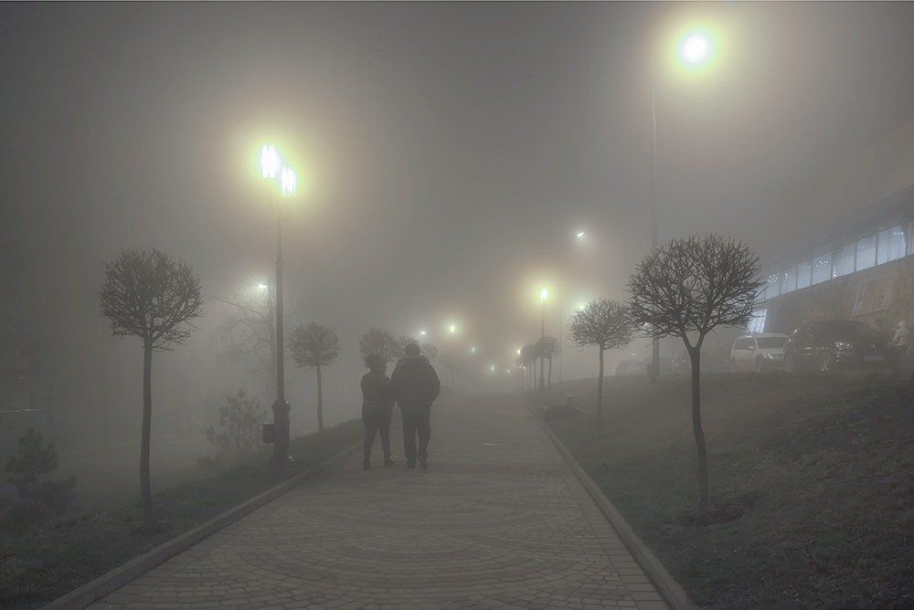 Прогулка в тумане