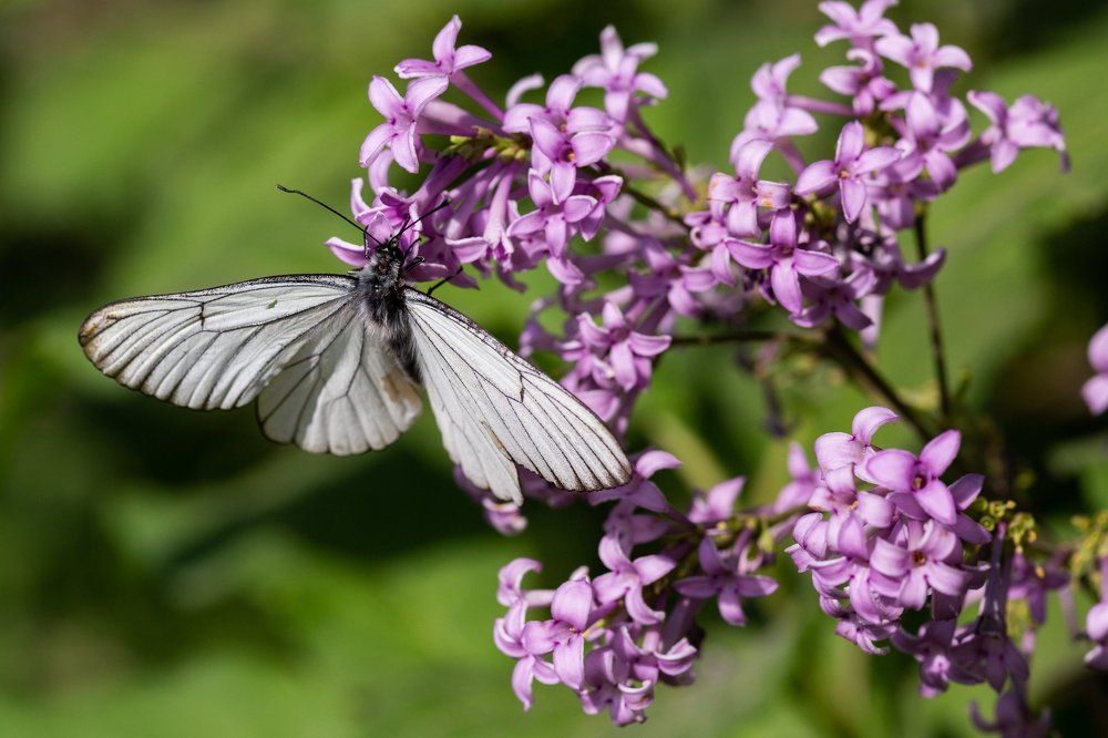 Photograph by Александр Егоров