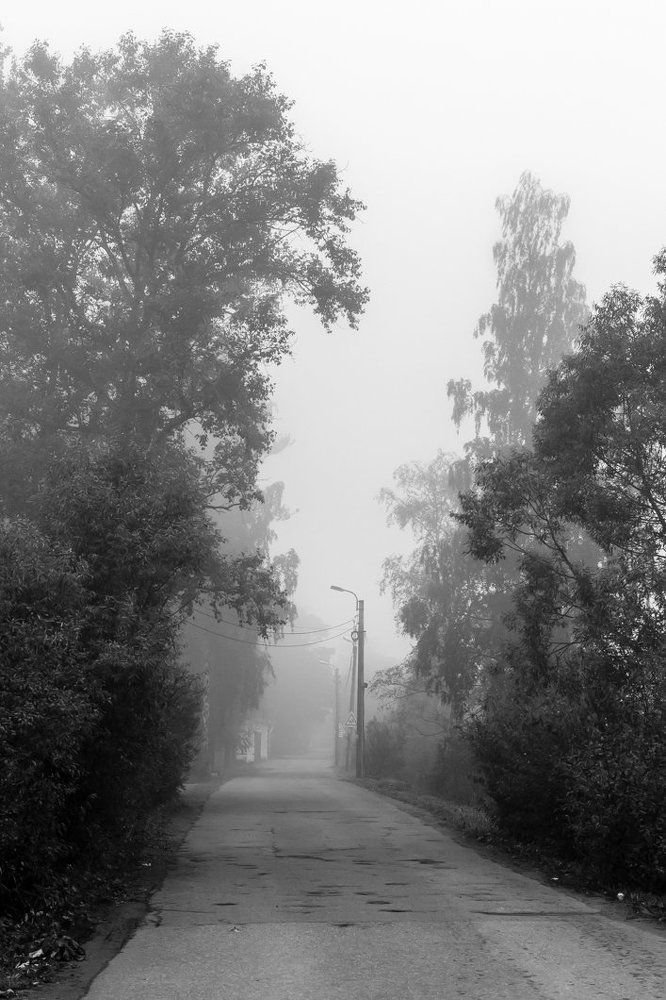 Photograph by Андрюс