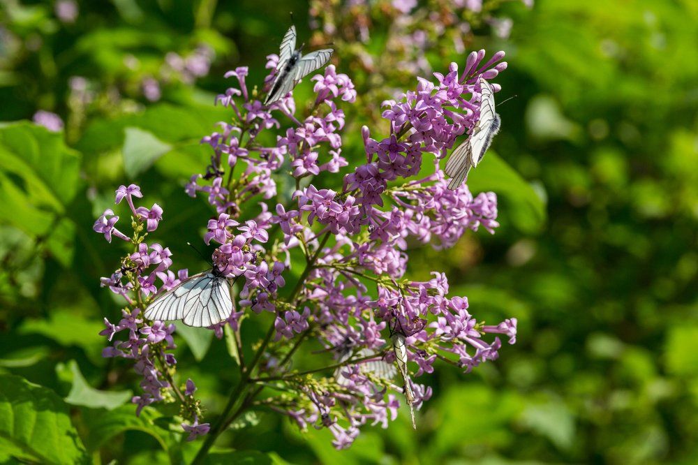 Photograph by Александр Егоров