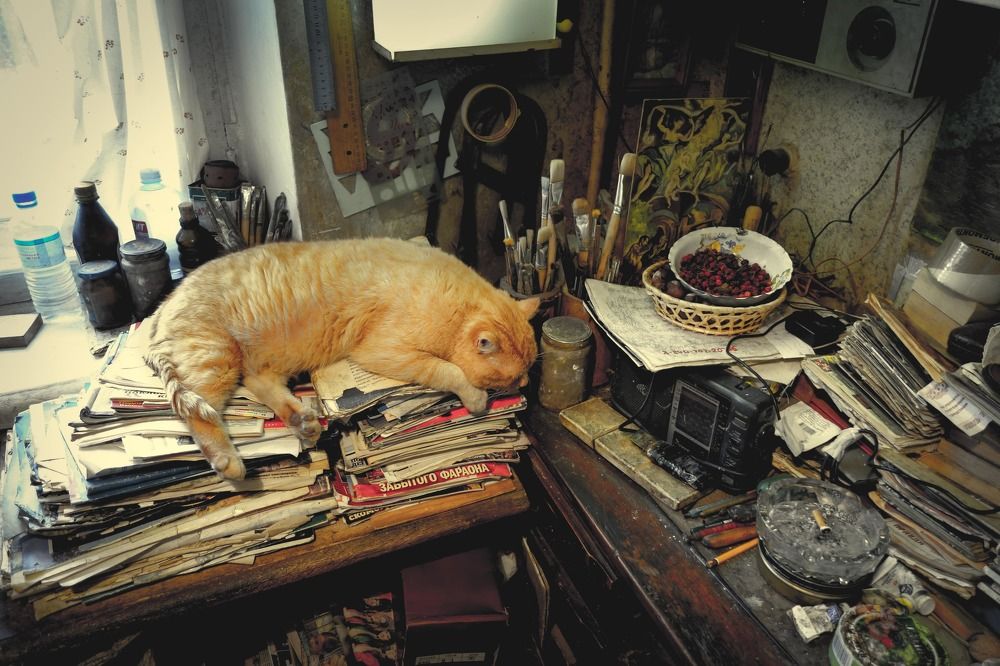 В мастерской