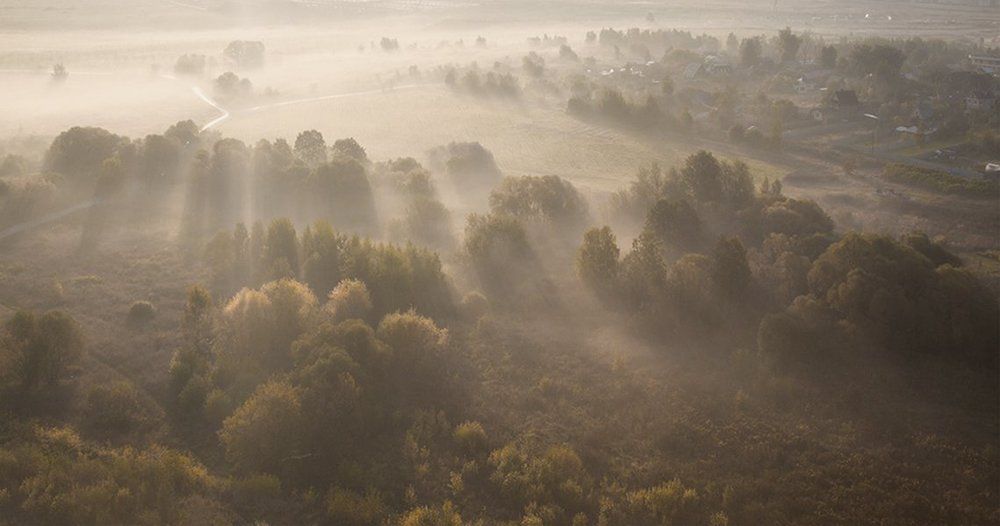 Осеннее утро.