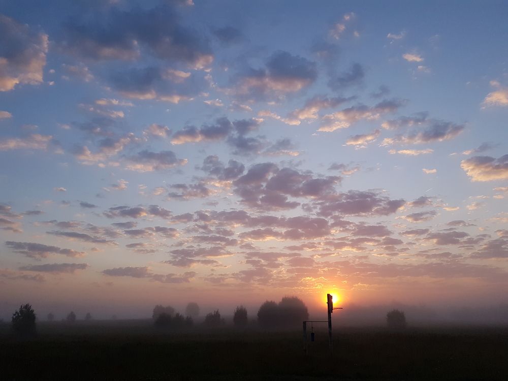 4.20 a.m. в Арбонье