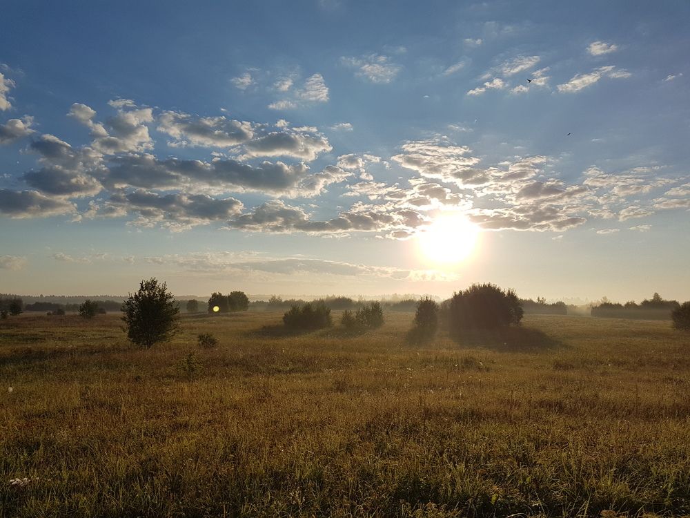 5.00 a.m. в Арбонье