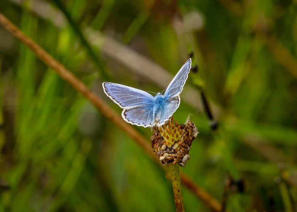 Photograph by Anatoly Chomko
