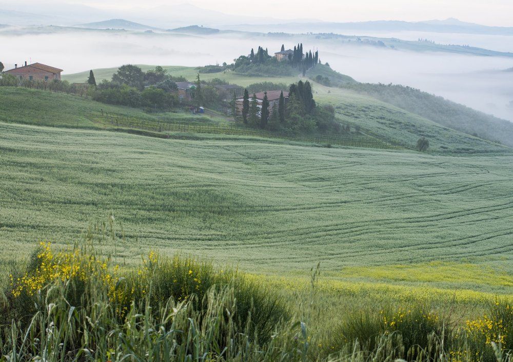 Mist in Tuscany