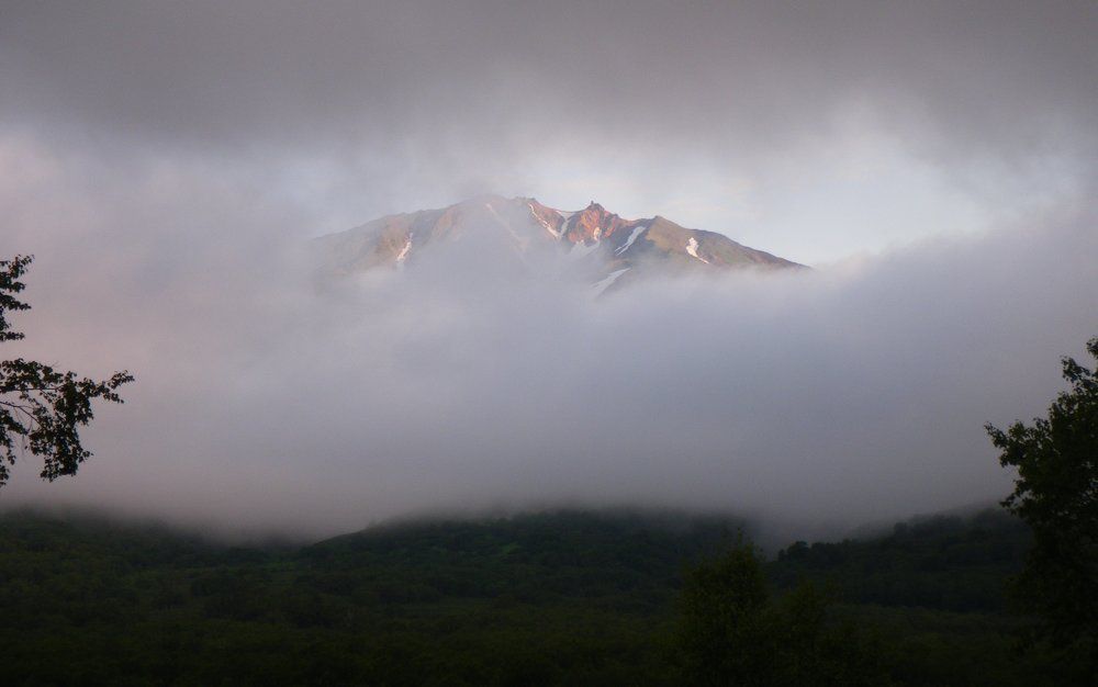 окно в тумане