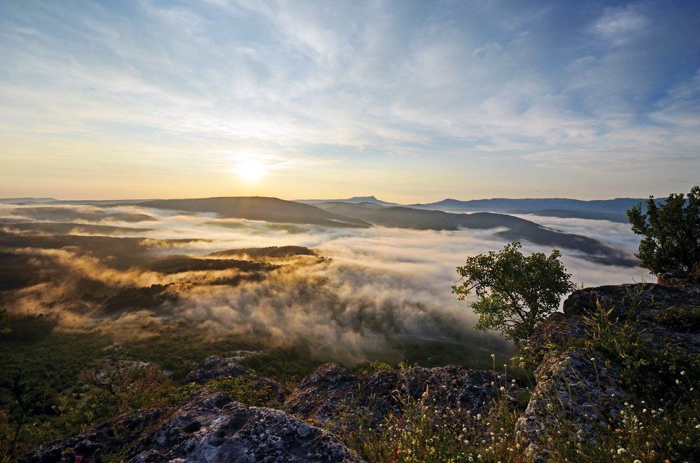 Photograph by Яковлев Александр