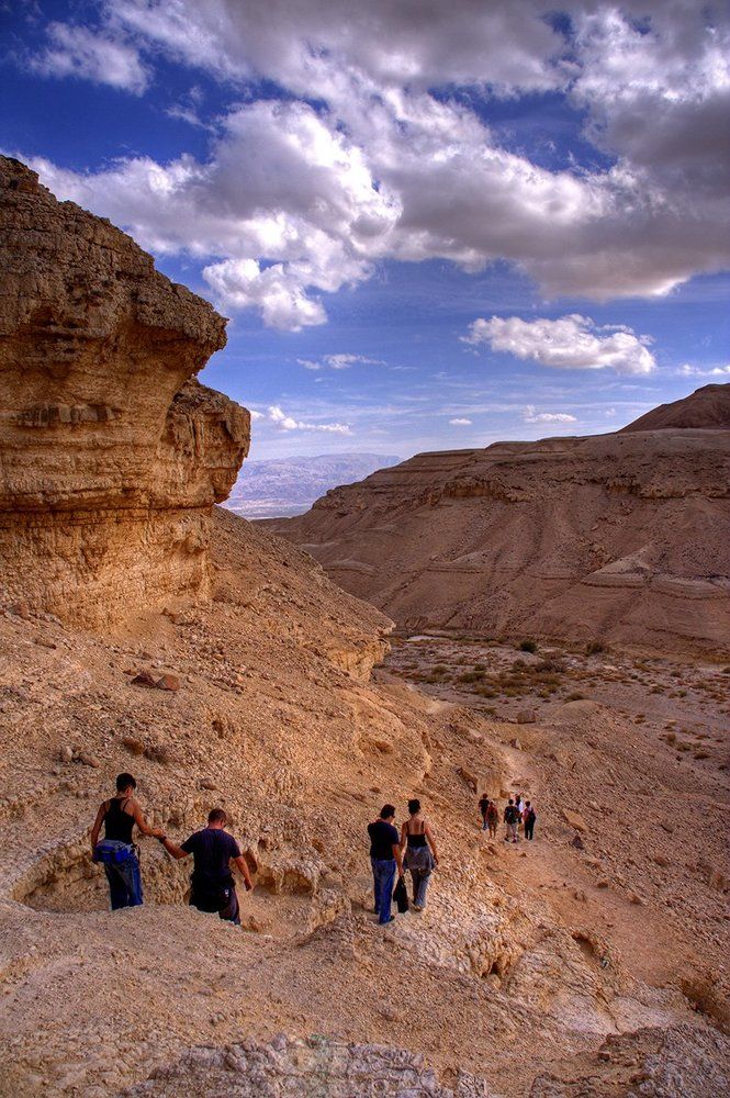 путешественники
