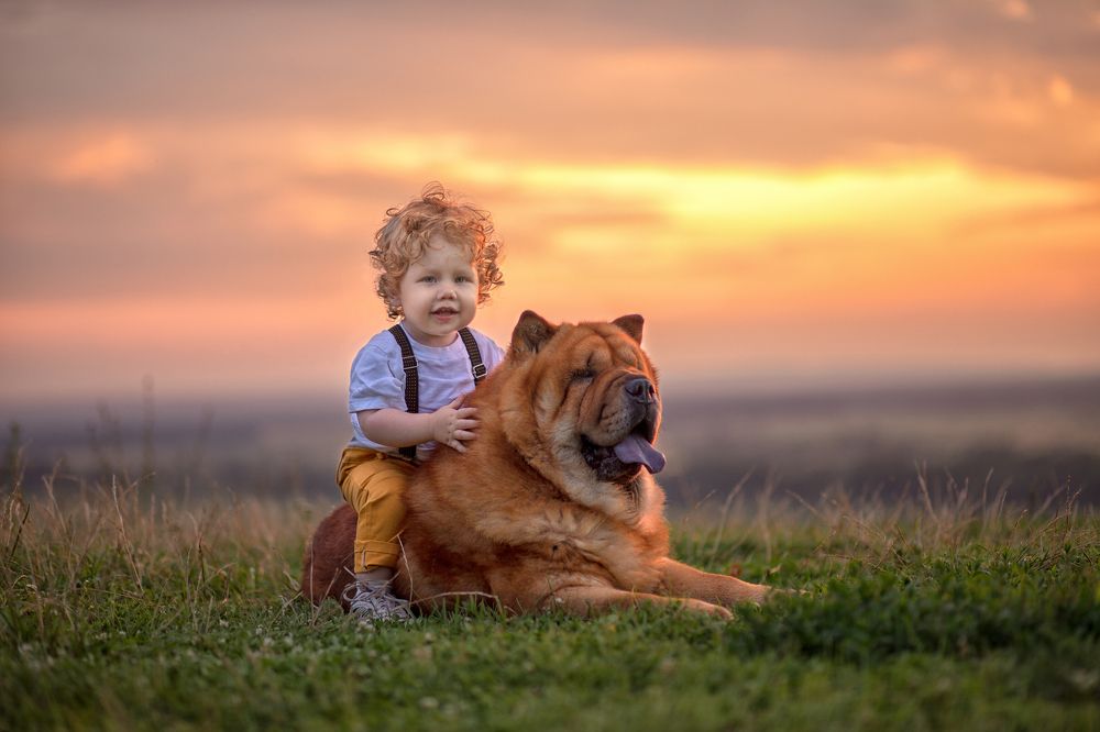 Photograph by Сидорова Ирина