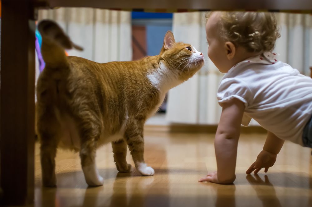 Знакомство