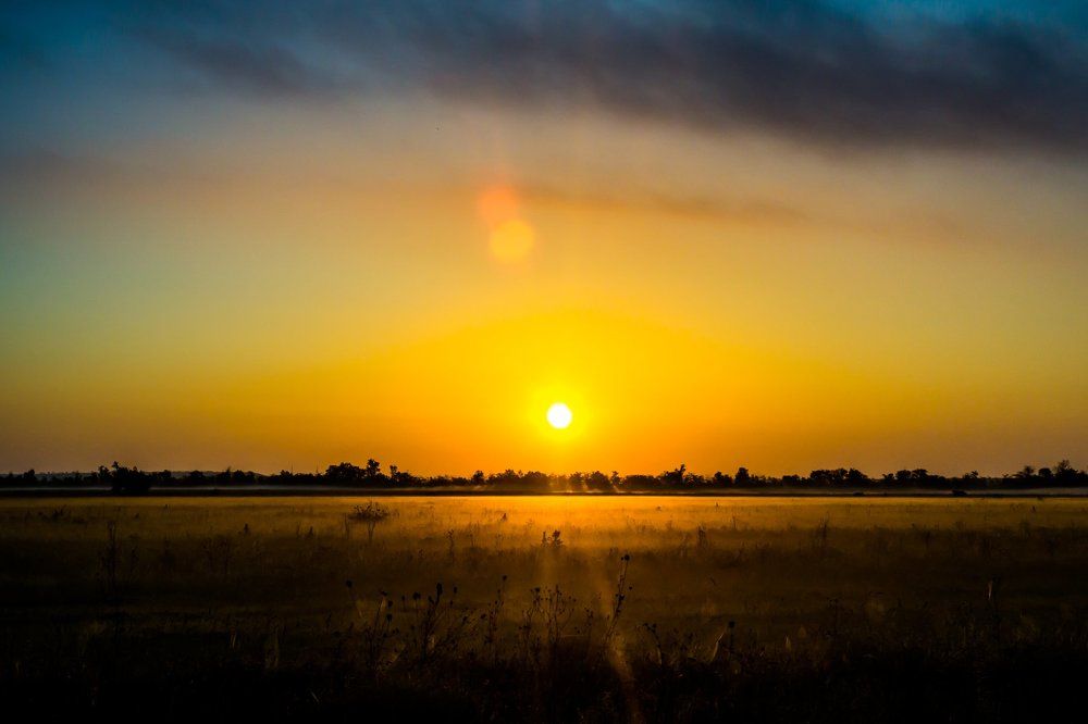 Туман на рассвете