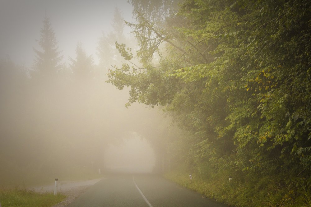 Туман в горах