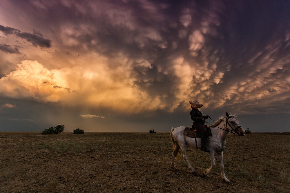 Всадник апокалипсиса