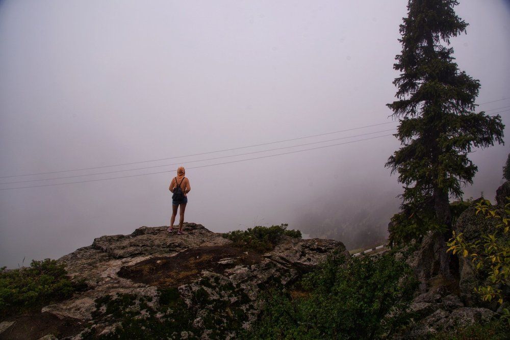 Прогулка по туману