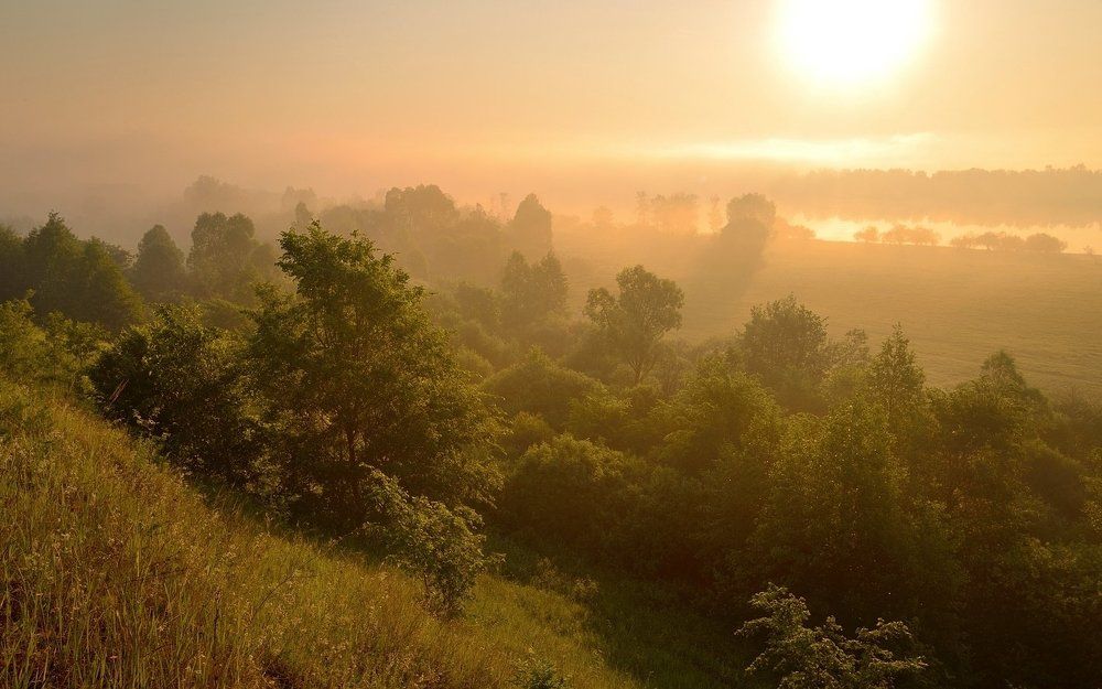 Рассветное одеяло