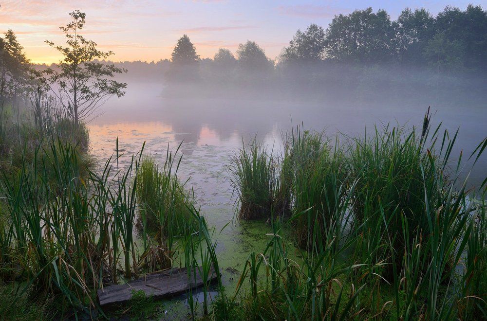 Холодный пар