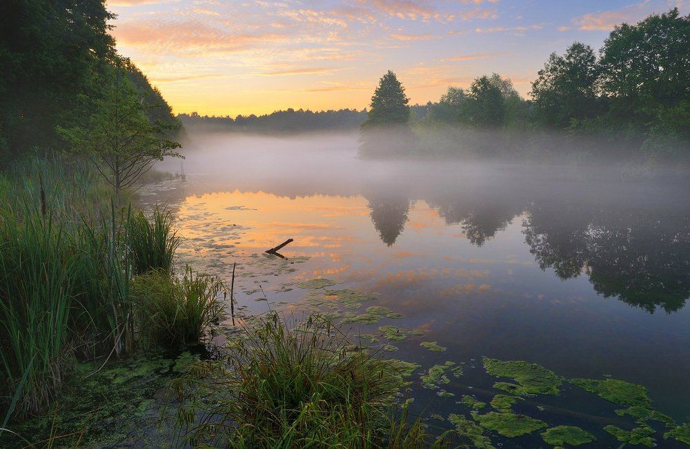 Медитация природы