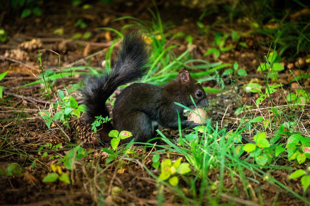 Photograph by Valentin Stefan