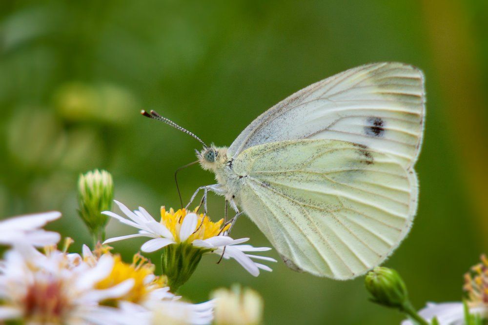 Однажды утром