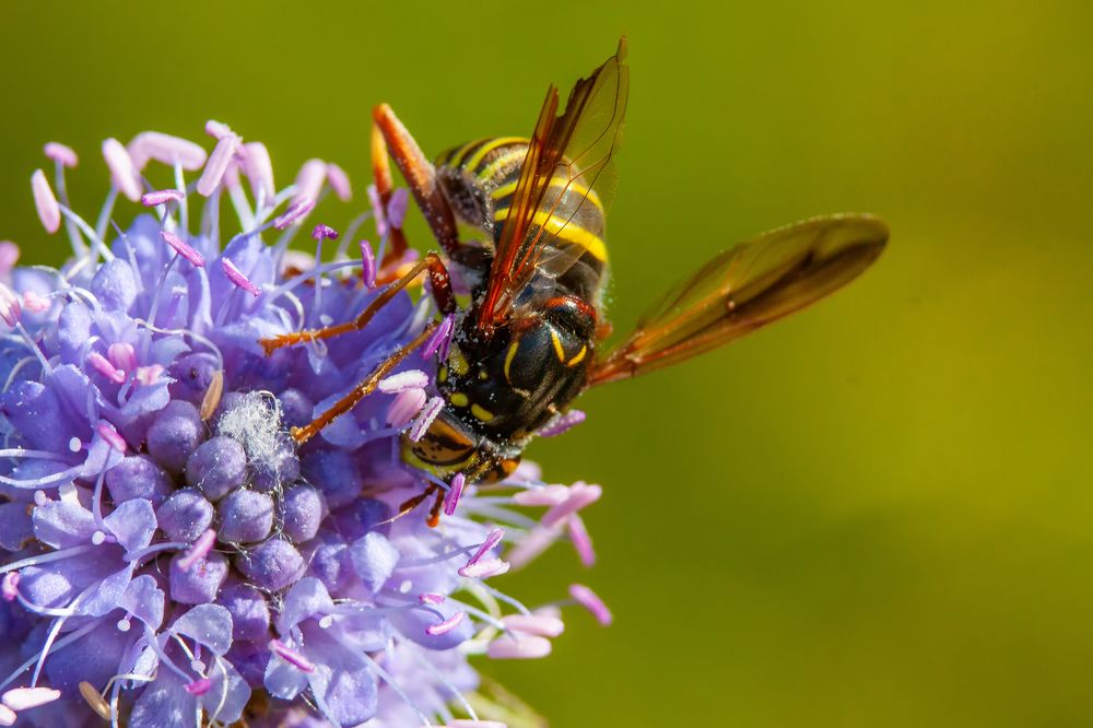 Photograph by Анатолий Калмыков