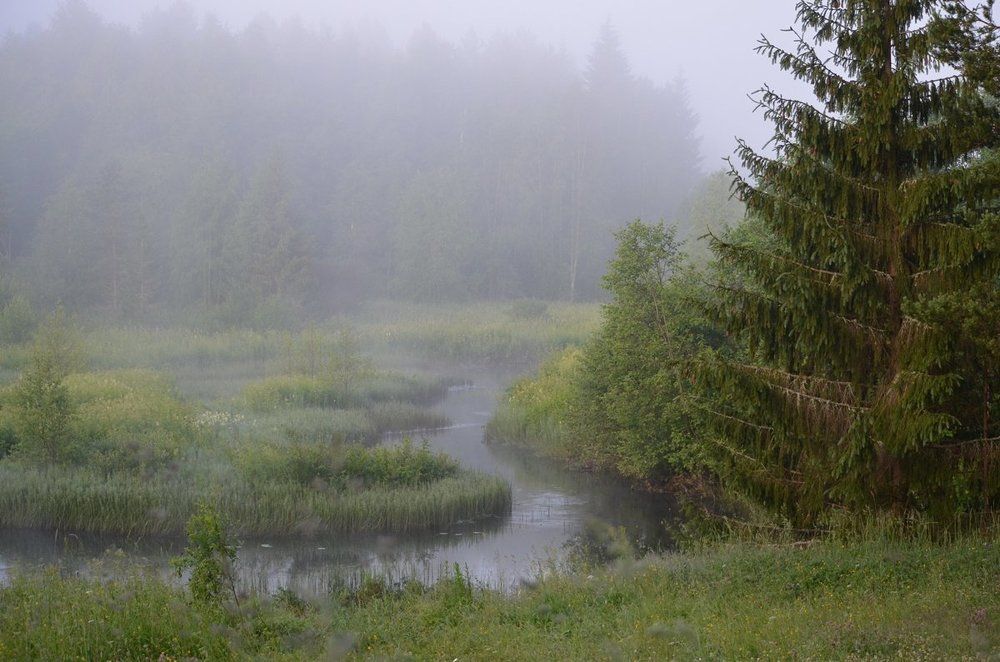 над рекой туман
