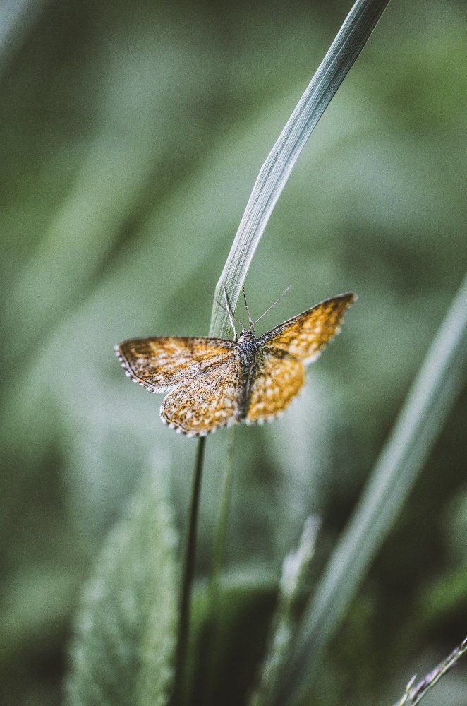 Невесомое Волшебство