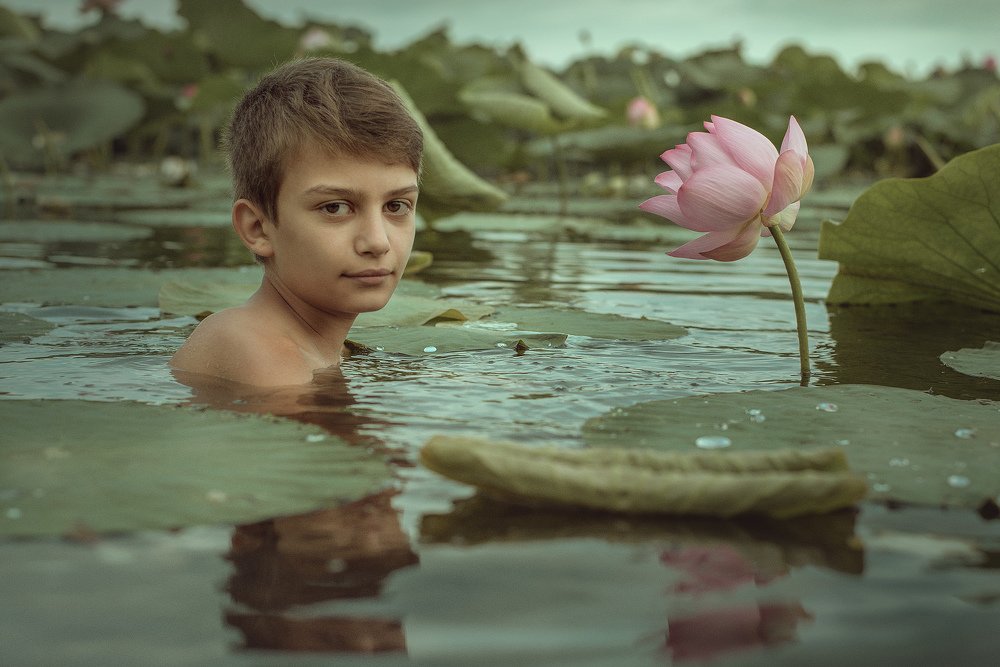 В стране лотоса