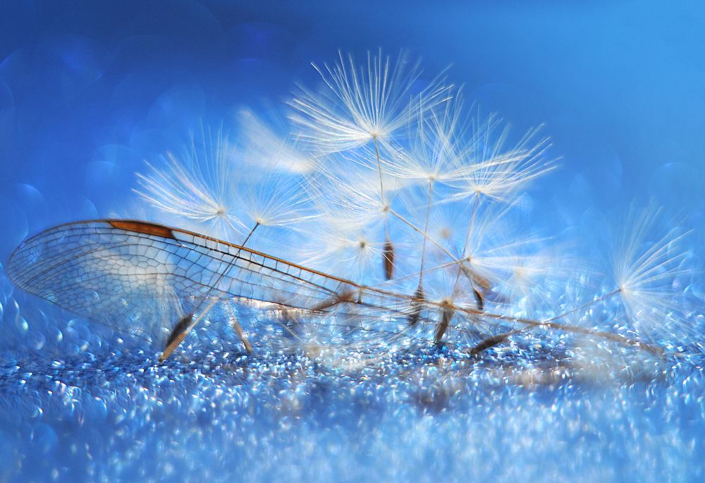 Летательные аппараты