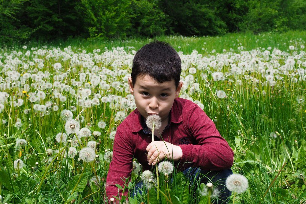 воздушный поцелуй