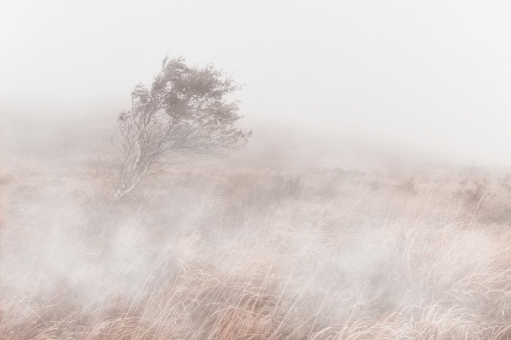 последний из могикан