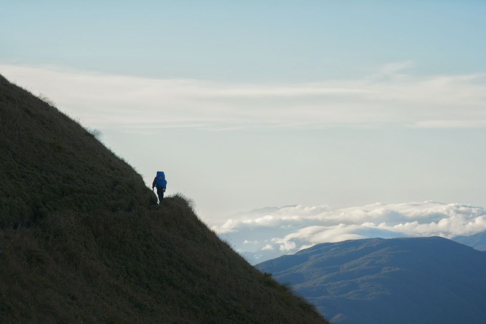 Mt. Pulag