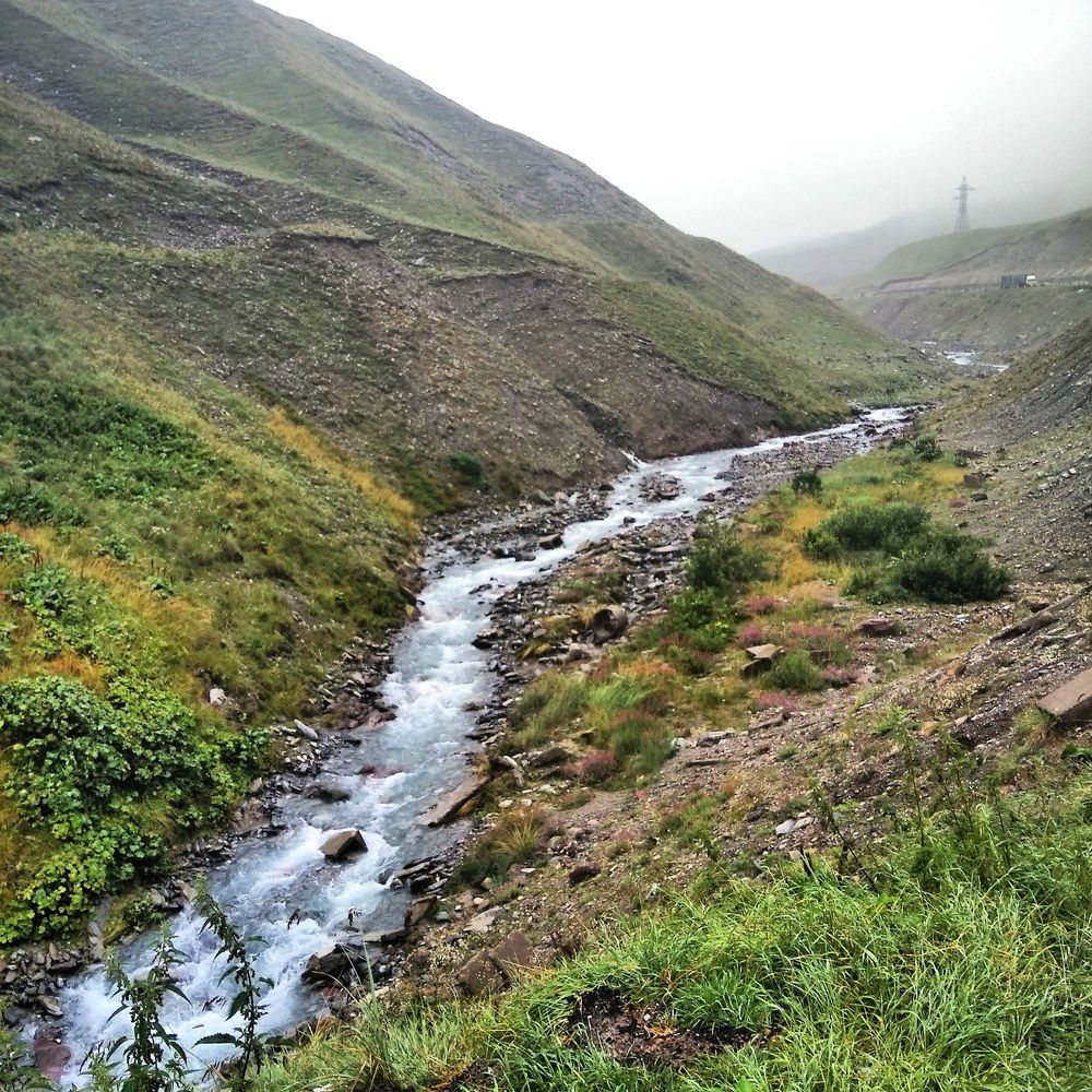 Река в тумане