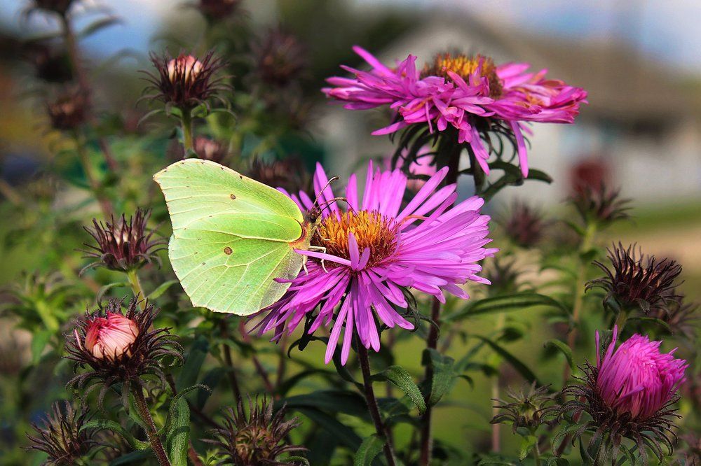 Photograph by Kristina Vilkova