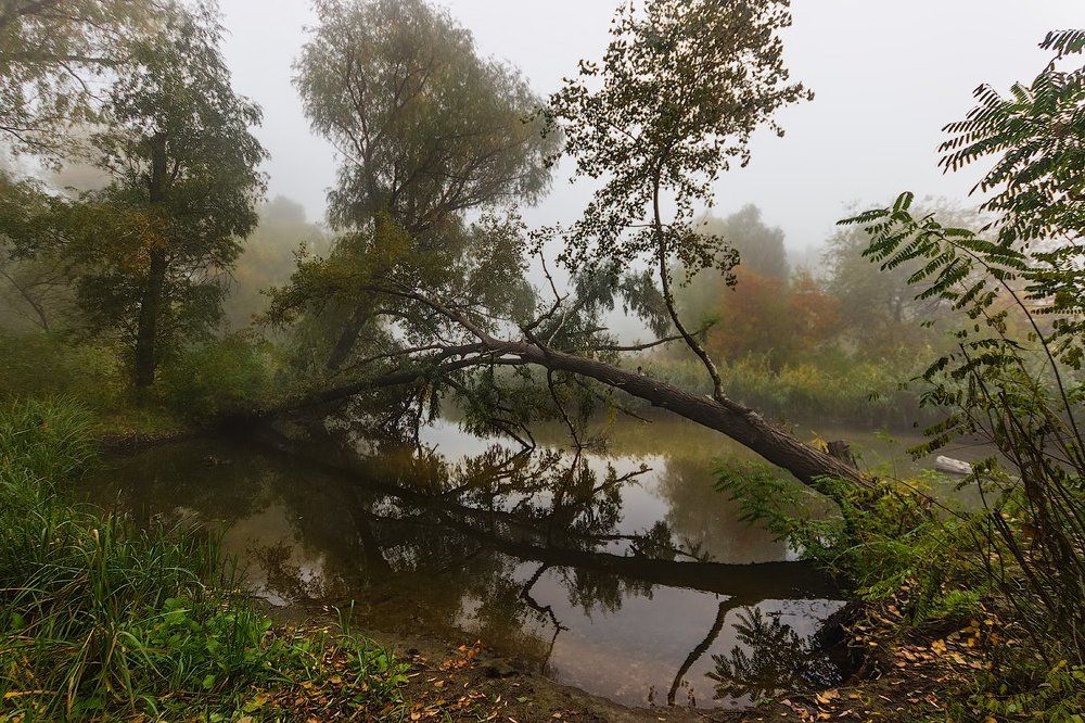 Осенняя протока.