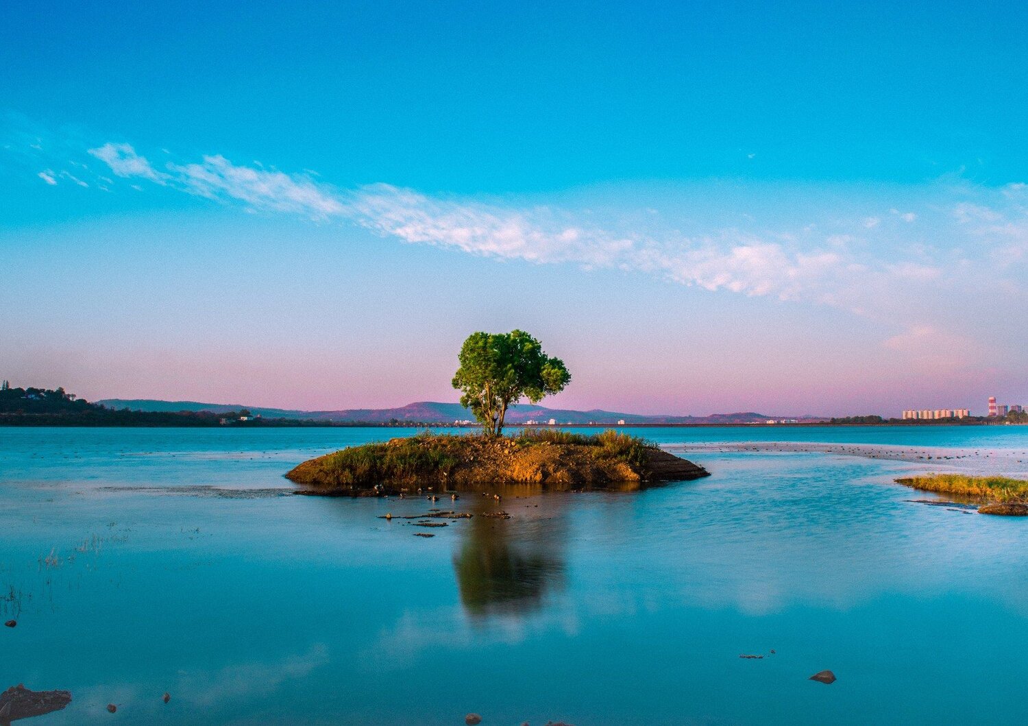 Lone tree on a lone island.